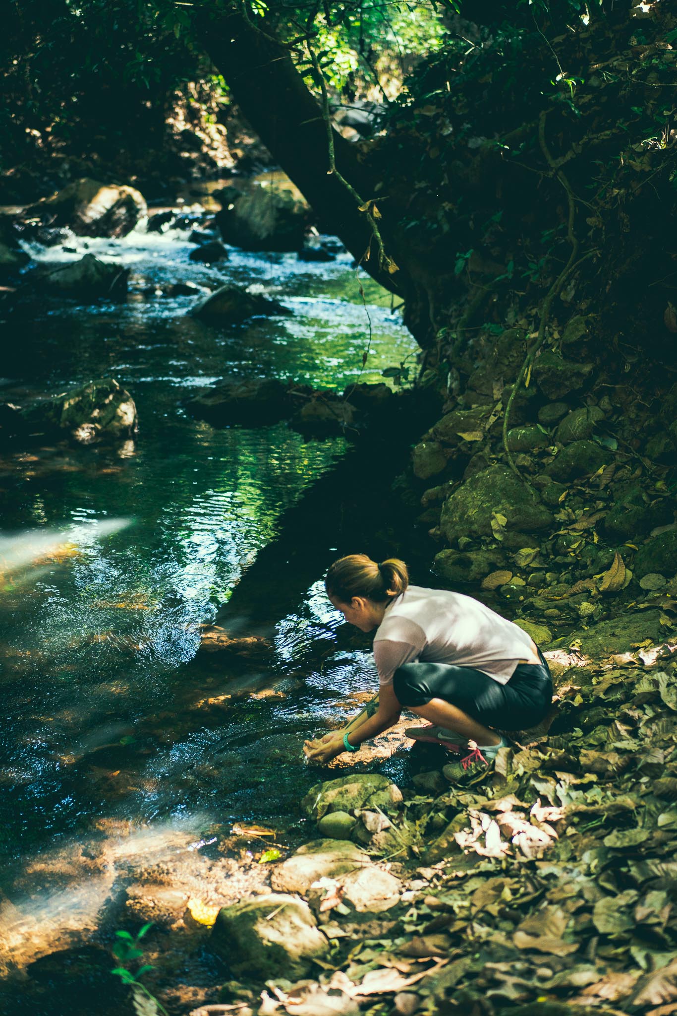 The effect of nature on mental health